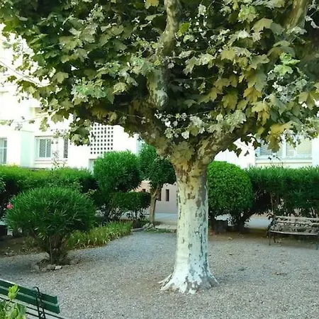 Appartement Les Dahlias Saint-Raphaël